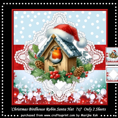 Christmas Birdhouse Robin Santa Hat