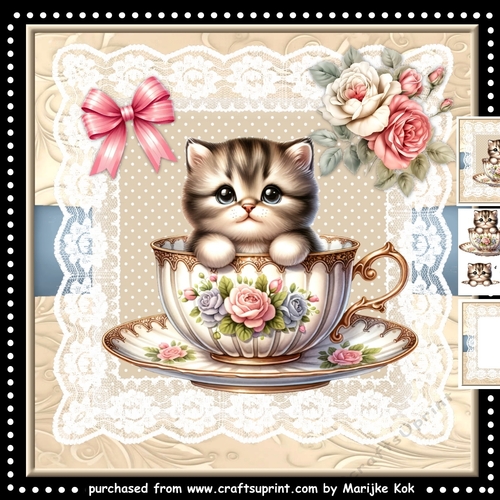 Peek A Boo Kitten In Teacup Mini Kit