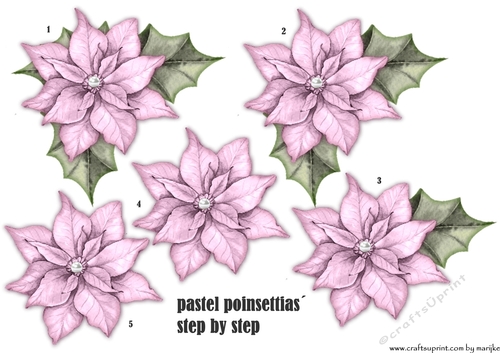 Pastel Pink Poinsettias Step By Step