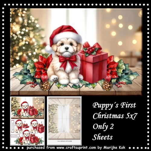 Puppy´s first Christmas  Mini Kit