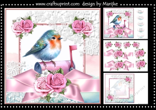 Cute Robin & Pink Roses Mini Kit