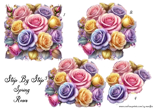 Step By Step  Spring Roses