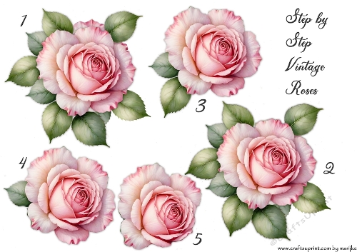 Step by Step Pink Vintage Roses Designer Request