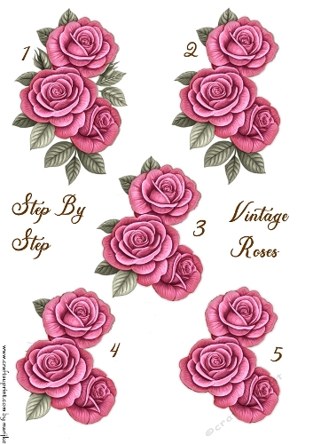 Step By Step Vintage Pink Roses