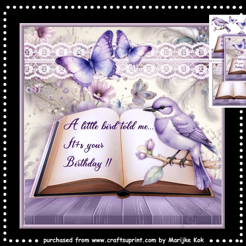 Little Bird Mini Kit