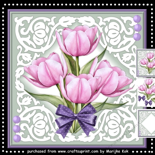 Tulips from Holland Mini Kit