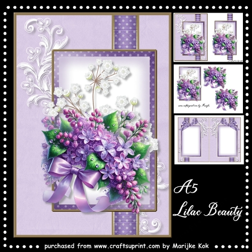 Lilac Beauty Mini Kit