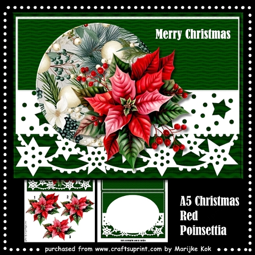 cup1378957_936 - A5  Red Poinsettia´s Mini Kit