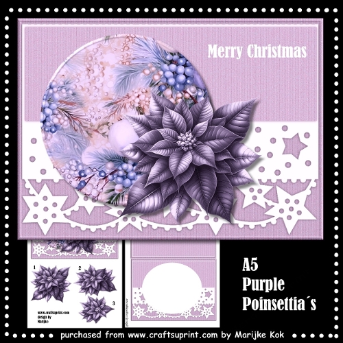 cup1378959_936 - A5  Purple   Poinsettia´s Mini Kit