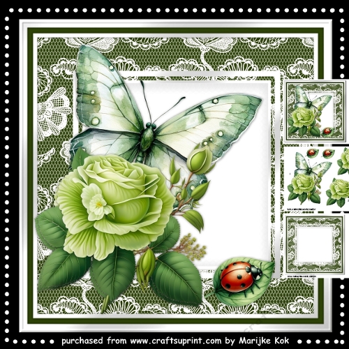 Male card  Roses & Butterfly 