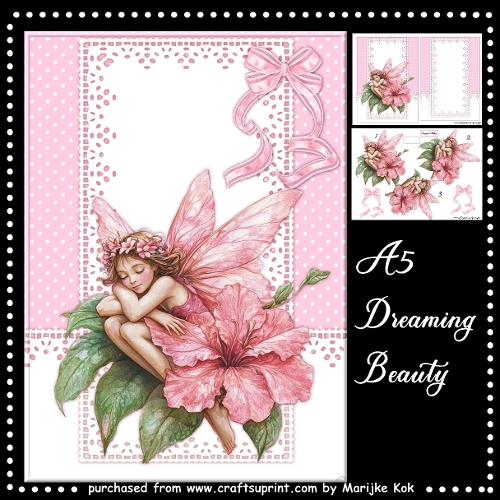  A5 Dreaming Beauty  Mini Kit