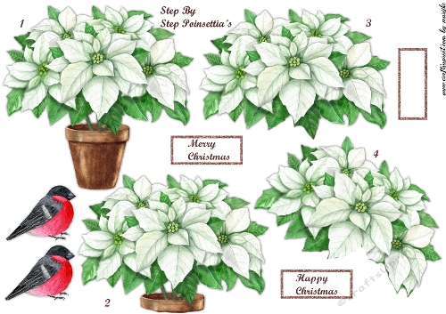 Step By Step  Poinsettia´s NR. 1