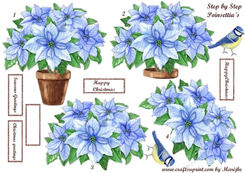 Step By Step  Poinsettia´s NR. 2