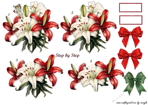 Step By Step  Lovely Lilies