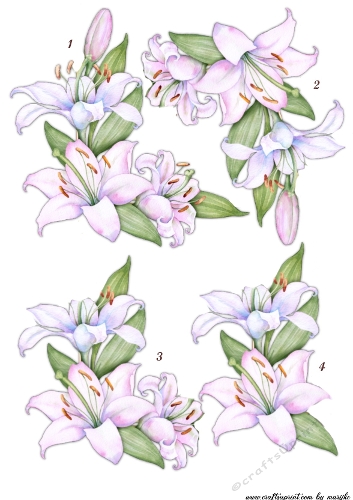 Step by Step Lilac Lilies