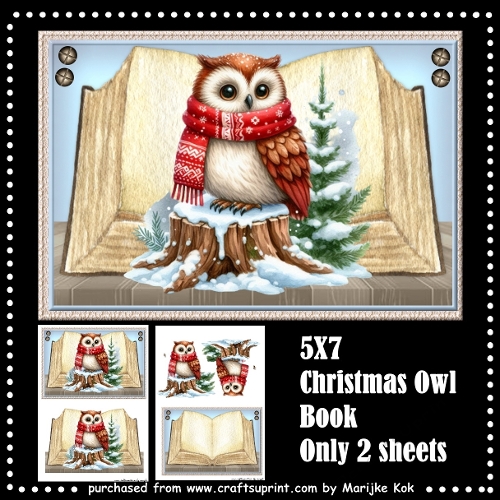 cup1392278_936 - Christmas Owl Book 5x7 Mini Kit