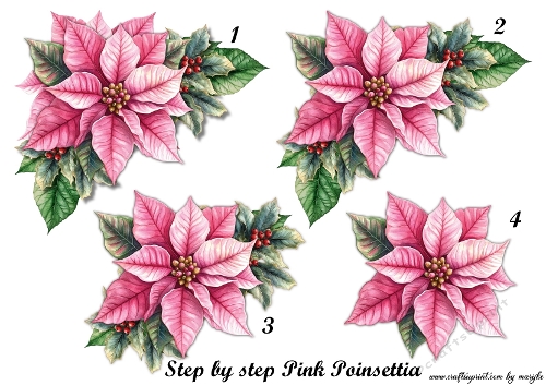 Step By Step Pink Poinsettia´s