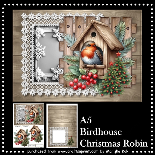 A5 Birdhouse  Christmas  Robin