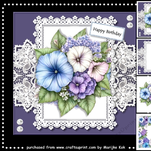 Morning Glory Mini Kit