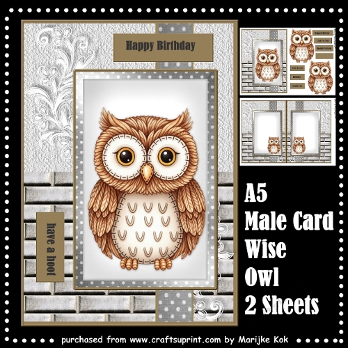 Male Card Wise Owl Mini Kit