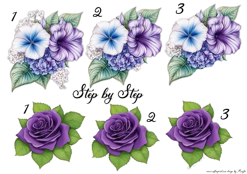 Step By StepMorning Glory and Purple Roses