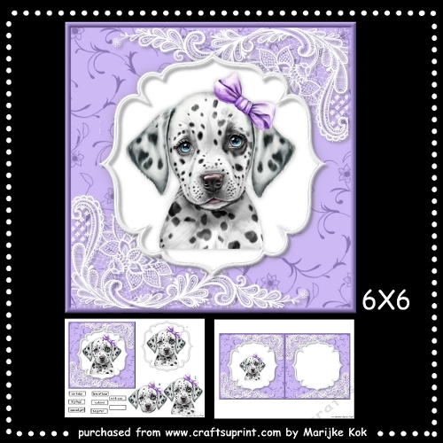 6X6 Cutest Puppy Ever  mini Kit