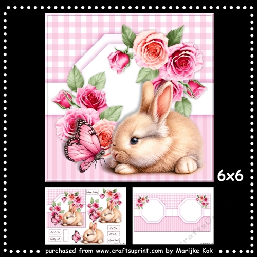 6X6Bunny & Butterfly mini Kit