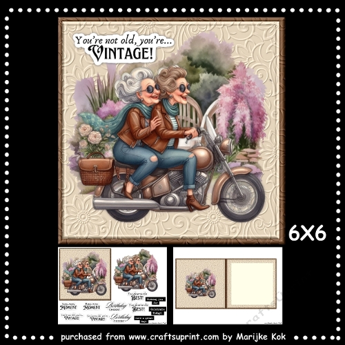 6X6  Crazy Ladies   Mini Kit