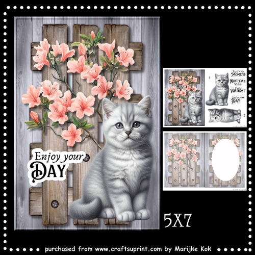 Grey  Kitten In Garden Mini Kit
