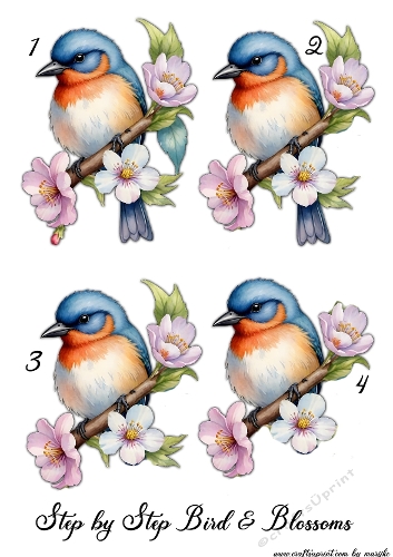 Step by Step Birds & Blossoms 1