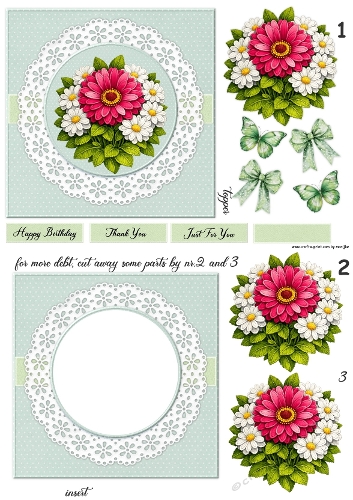 All in One  Daisies 