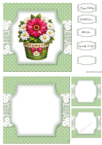 Flowerpot Daisies All In One