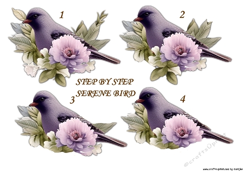 Step By Step   Serene Bird & Flowers
