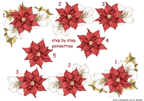 Step by Step Christmas Poinsettias