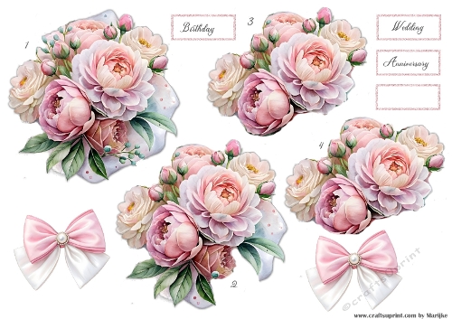 Step By Step Pink Peonies 