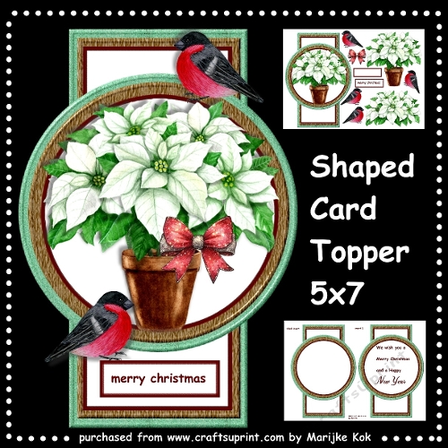 Shaped card topper Christmas Flowers Mini Kit