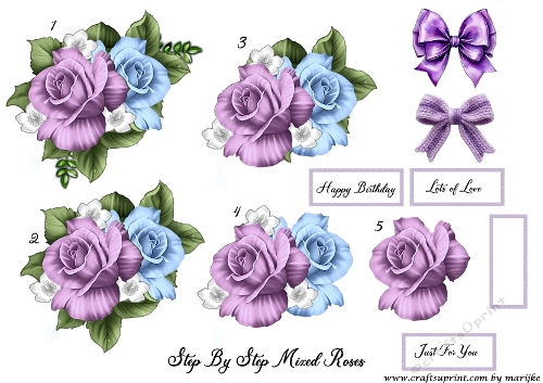 Step by Step mixed Roses