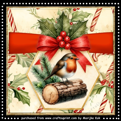 Vintage Christmas Robin   Mini Kit