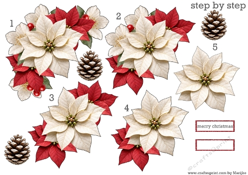 Step by Step   Christmas  Flowers