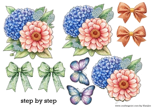 Step by Step Pink Zinnia