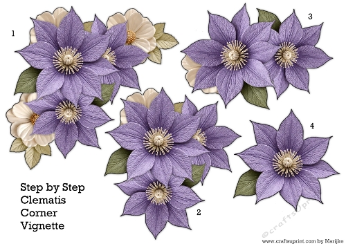 Step by Step Corner Vignette Clematis flowers