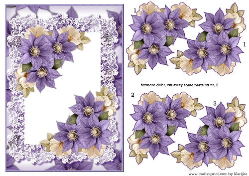 5X7 Quick card Clematis flowers