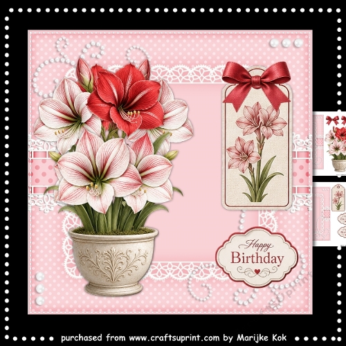 Flower Pot Amaryllis   Mini Kit
