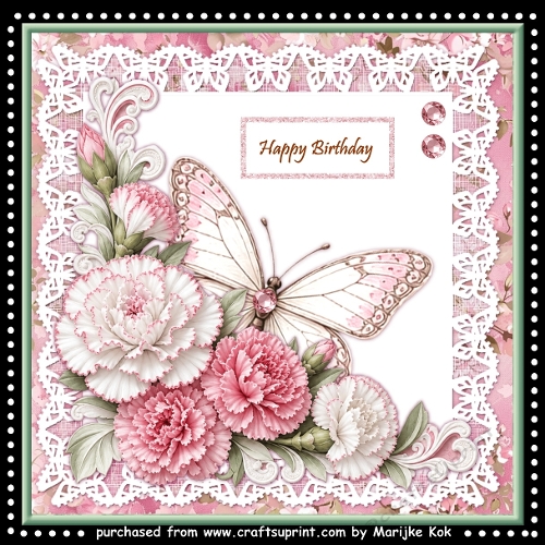 Carnations and butterfly lace  