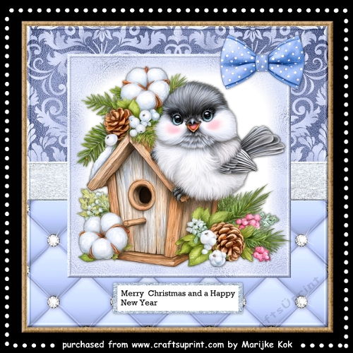 Cute Winter Birdhouse Mini Kit