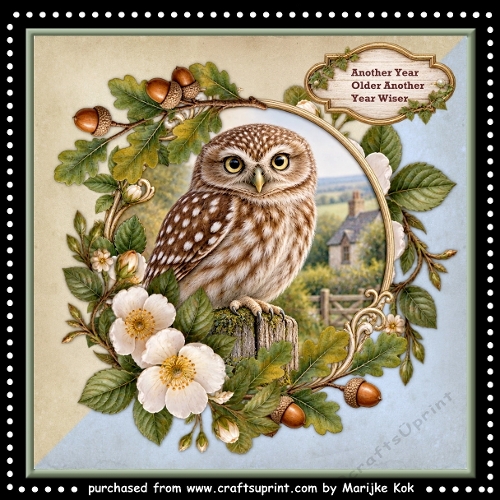 Male Card Wise Owl Mini Kit 8x8
