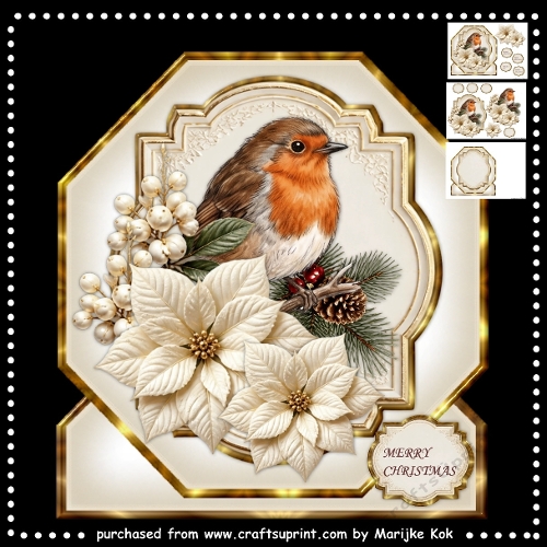 Robin & Poinsettia´s
