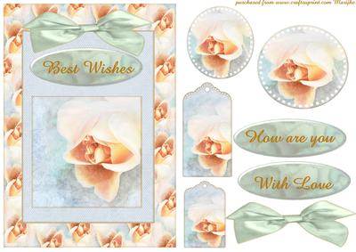 Soft Pastel Roses