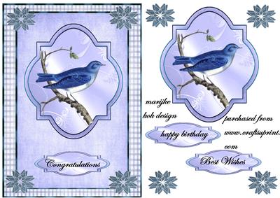 Beautiful Bleu Bird