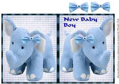 New Baby Boy